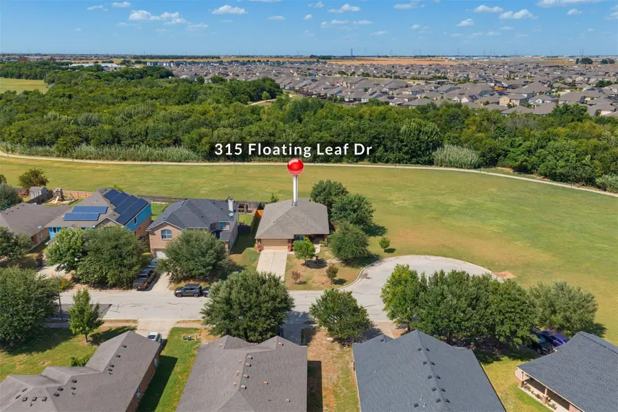 315 Floating Leaf Dr, Hutto, TX 78634 - #2