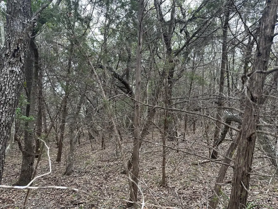 TBD S Sunset Cyn, Dripping Springs, TX 78620 - Image #2