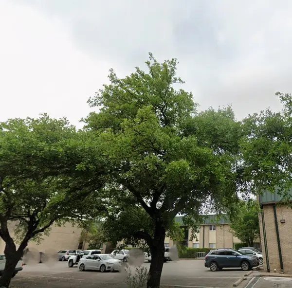 2600 Penny Ln #207, Austin, TX 78757