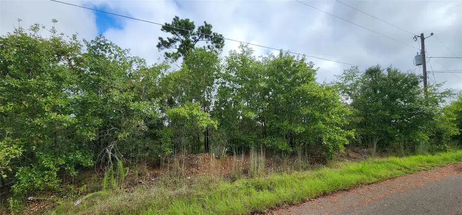 TBD Homonu (lot 105) Ct, Bastrop, TX 78602 - #2