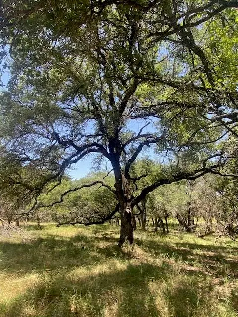 3 Becky Ln, Bertram, TX 78605 - Image #1