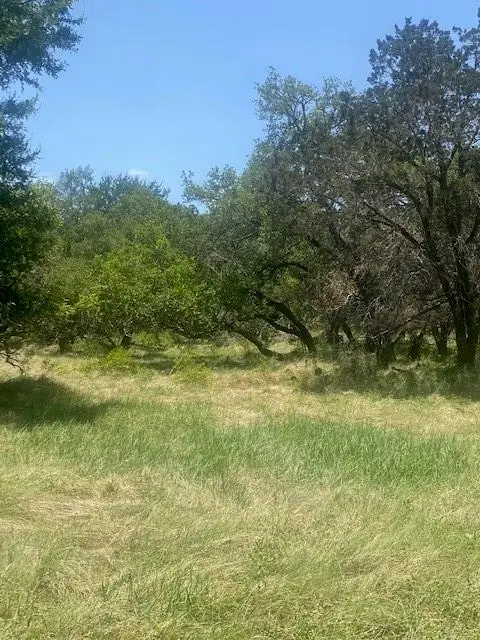 3 Becky Ln, Bertram, TX 78605 - Image #2