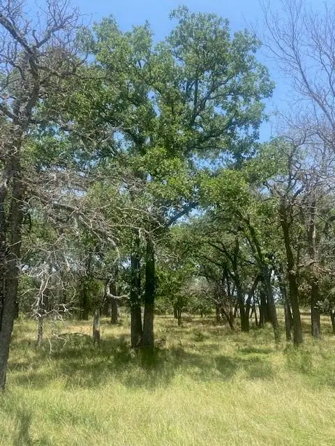 3 Becky Ln, Bertram, TX 78605 - Image #3