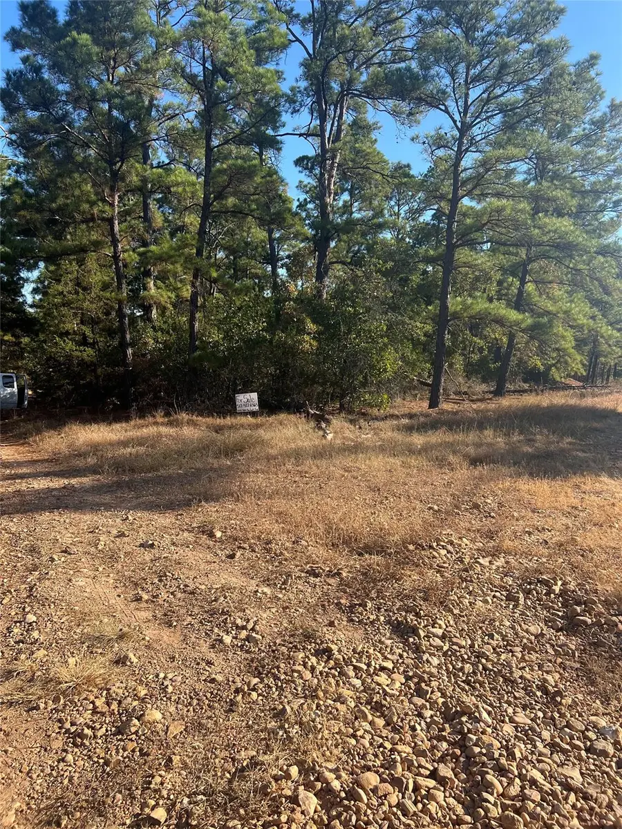 TBD Pine Lodge Dr, Bastrop, TX 78602 - Image #2