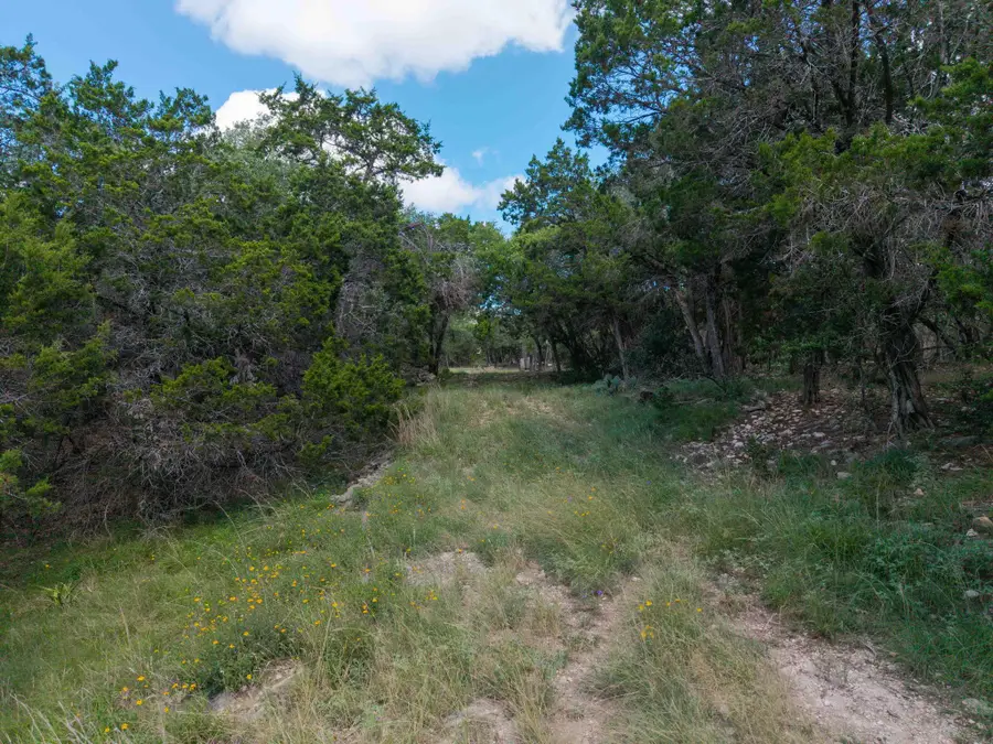 581 Gallagher Dr, Canyon Lake, TX 78133 - Image #3
