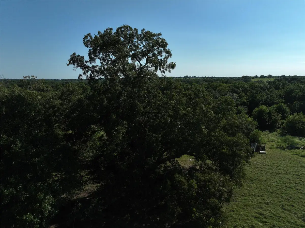 TBD Lot 5 Randermann Rd, Brenham, TX 77833 - Image #1