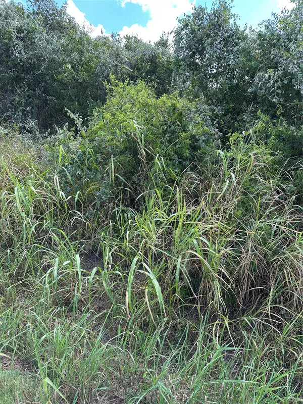 TBD Pine Hill Loop Loop, Bastrop, TX 78602