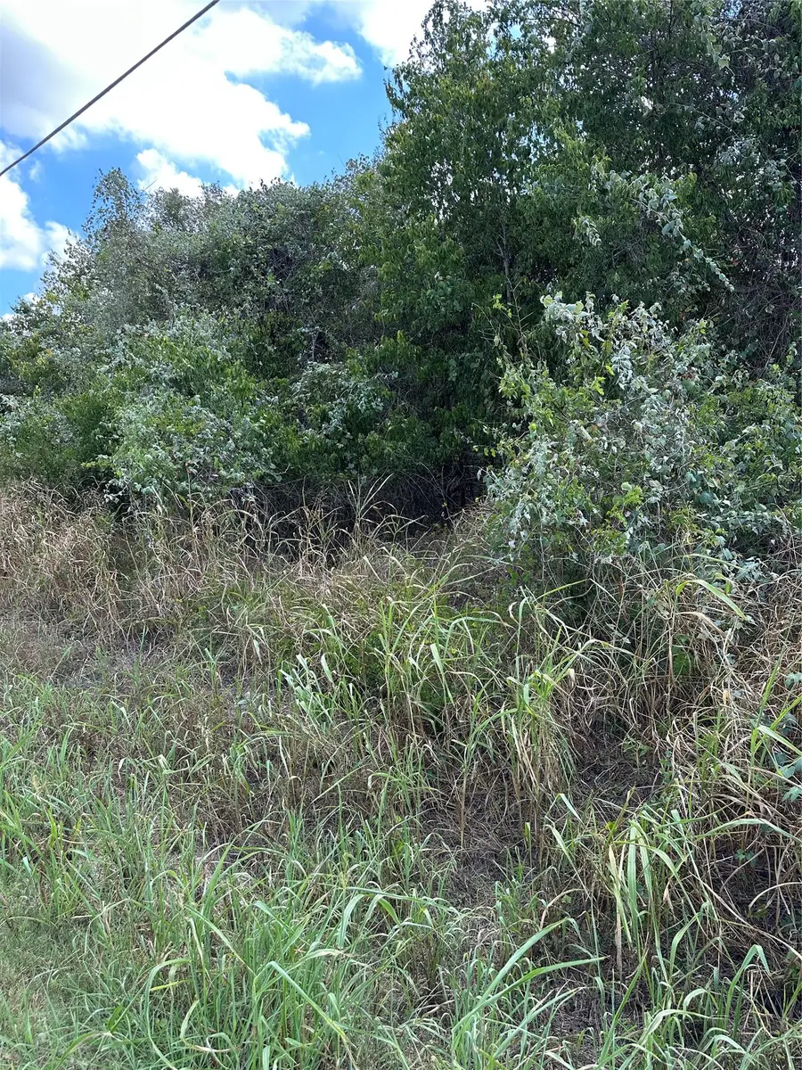 TBD Pine Hill Loop Loop, Bastrop, TX 78602 - Image #2