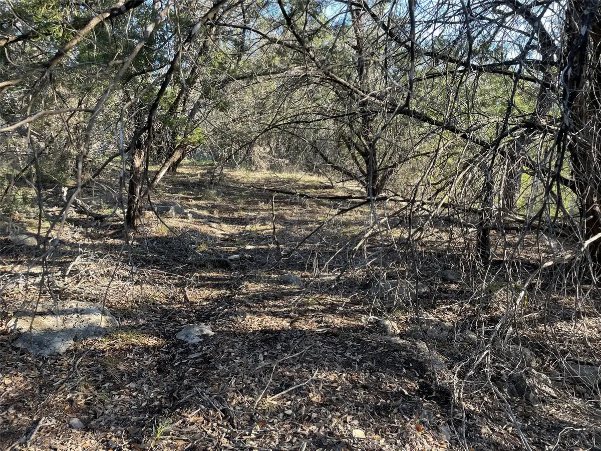 20805 Hawthorne Cv, Lago Vista, TX 78645 - Image #1