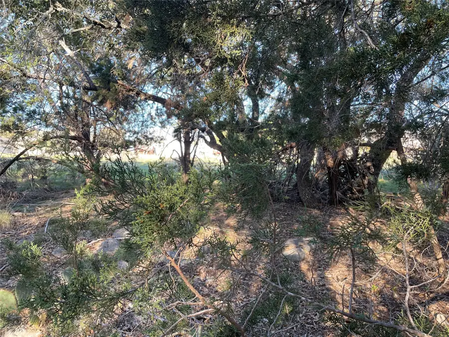 20805 Hawthorne Cv, Lago Vista, TX 78645 - Image #2