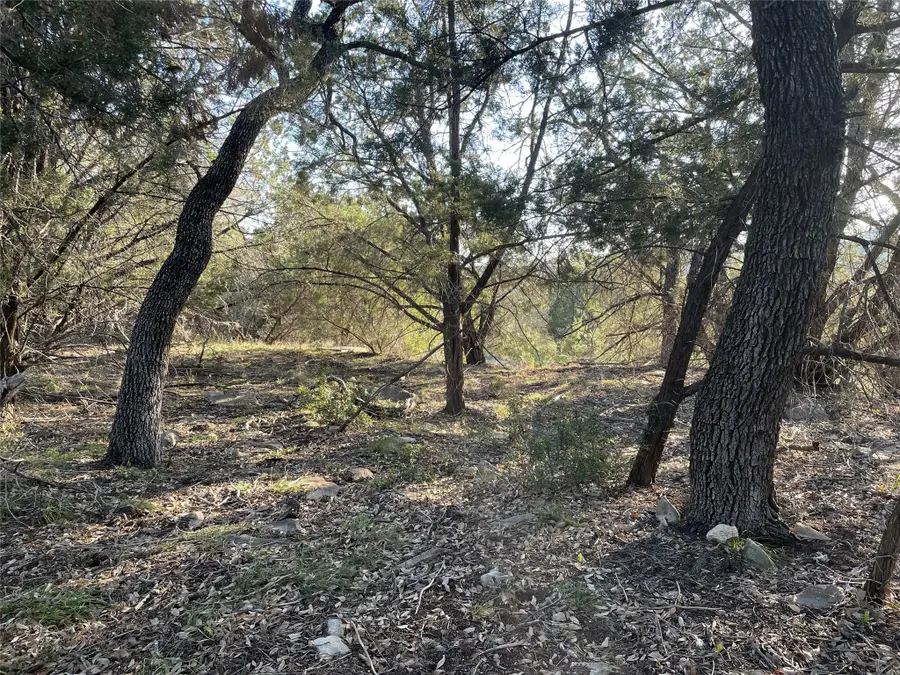 20805 Hawthorne Cv, Lago Vista, TX 78645 - Image #3