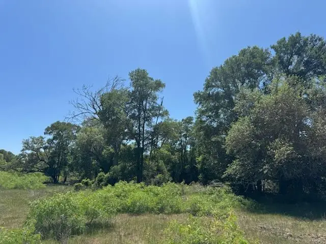 8409 Mach Road Rd, La Grange, TX 78945 - Image #2