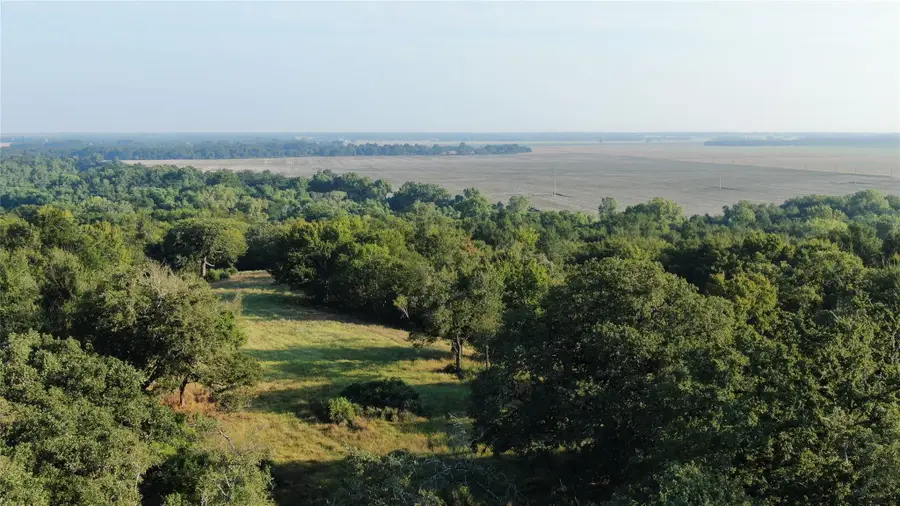 11789 Fm-2095 Highway, Gause, TX 77857 - Image #3