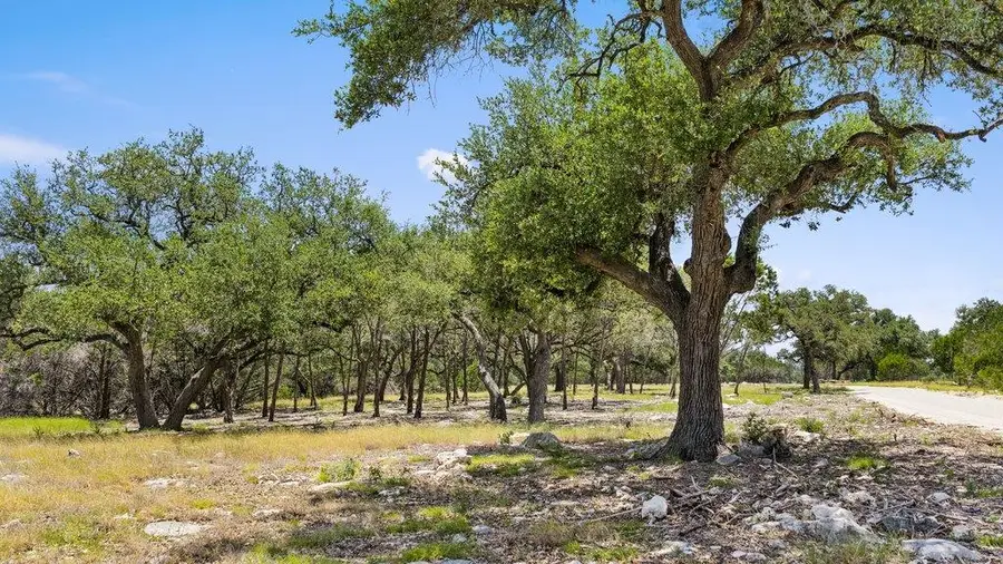 Tract 5 Cypress Cove Rd, Spring Branch, TX 78070 - #2
