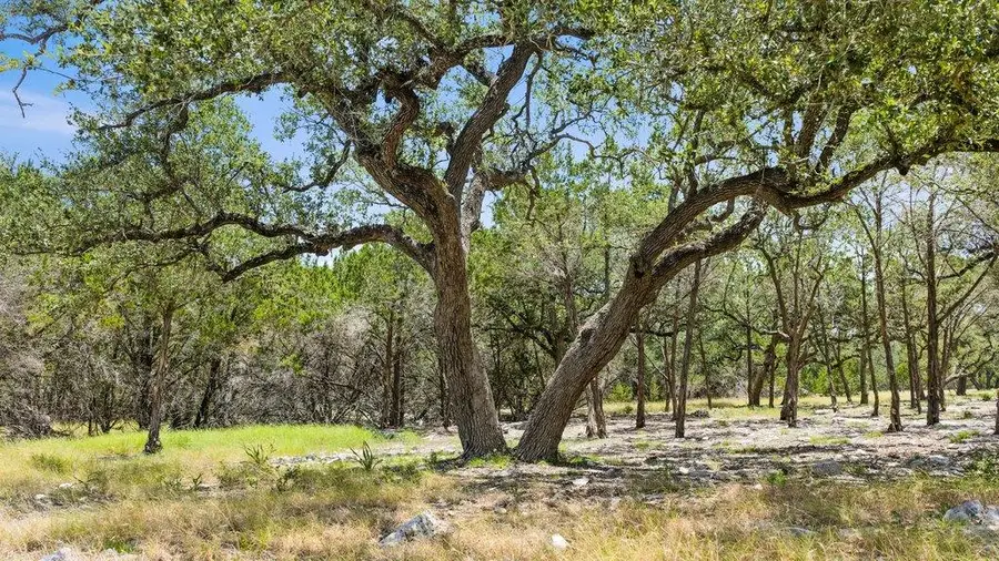 Tract 5 Cypress Cove Rd, Spring Branch, TX 78070 - #3