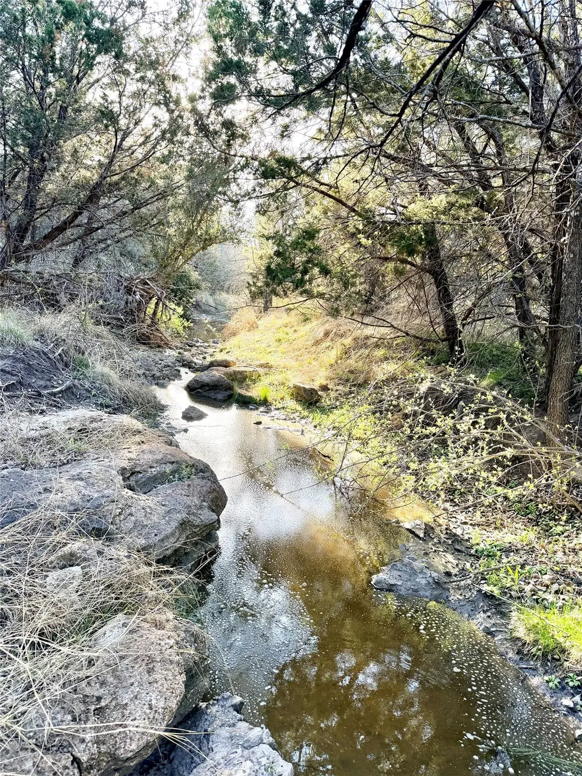 65 Cr 406, Goldthwaite, TX 76844 - #1