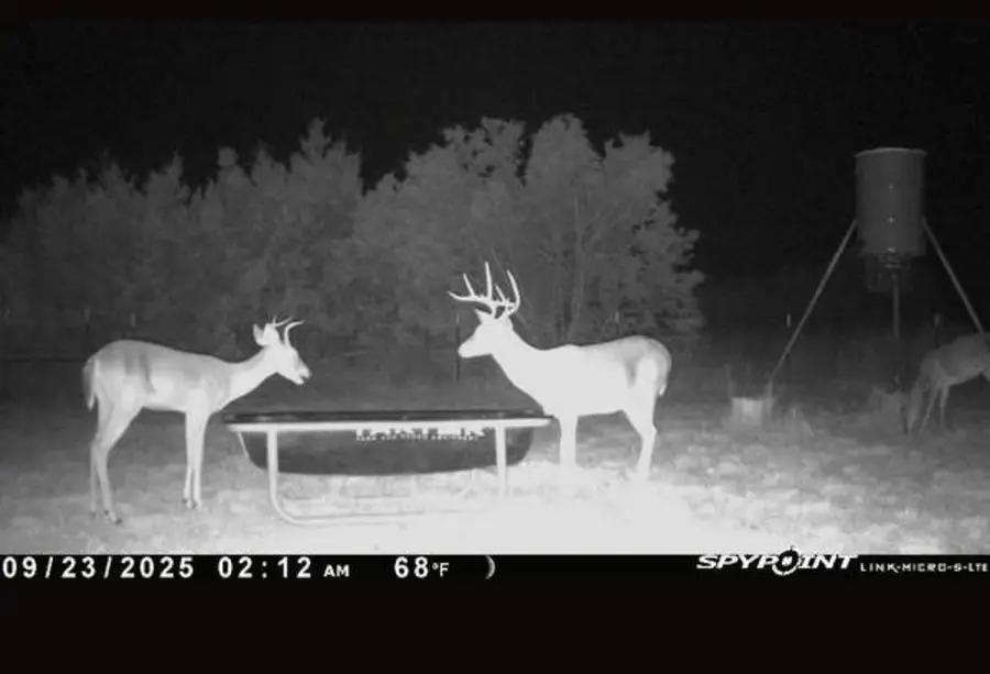 542 Co Rd 2275 Rd, Lampasas, TX 76550 - Image #2