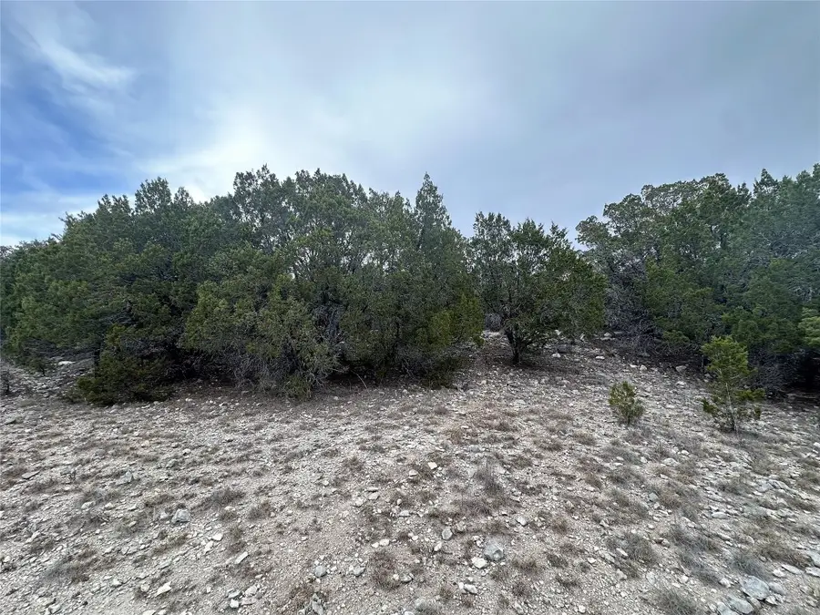 3105 Pilgrim Cv, Lago Vista, TX 78645 - Image #3