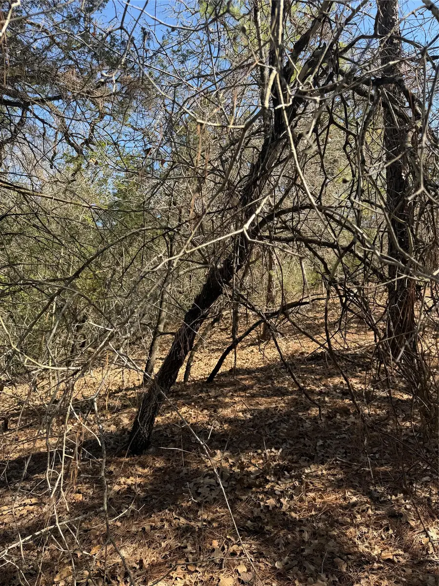 Lot 321 Keneka Ln, Bastrop, TX 78602 - #2