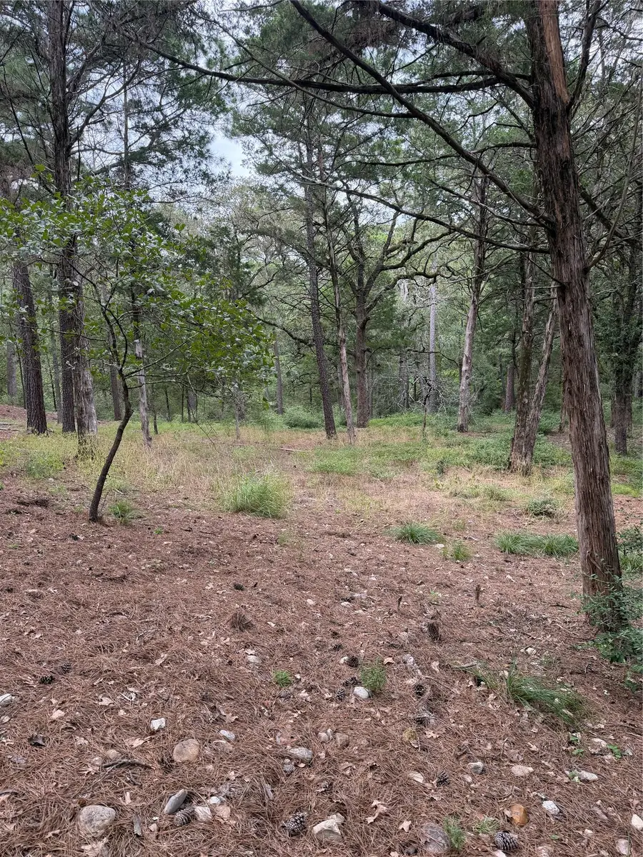 Lot 292 Aka Ct, Bastrop, TX 78602 - #3