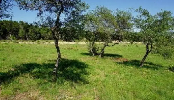 124 Sendera Way, Canyon Lake, TX 78133
