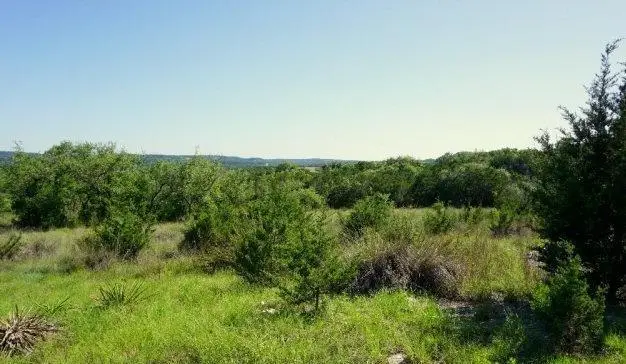 124 Sendera Way, Canyon Lake, TX 78133 - #3