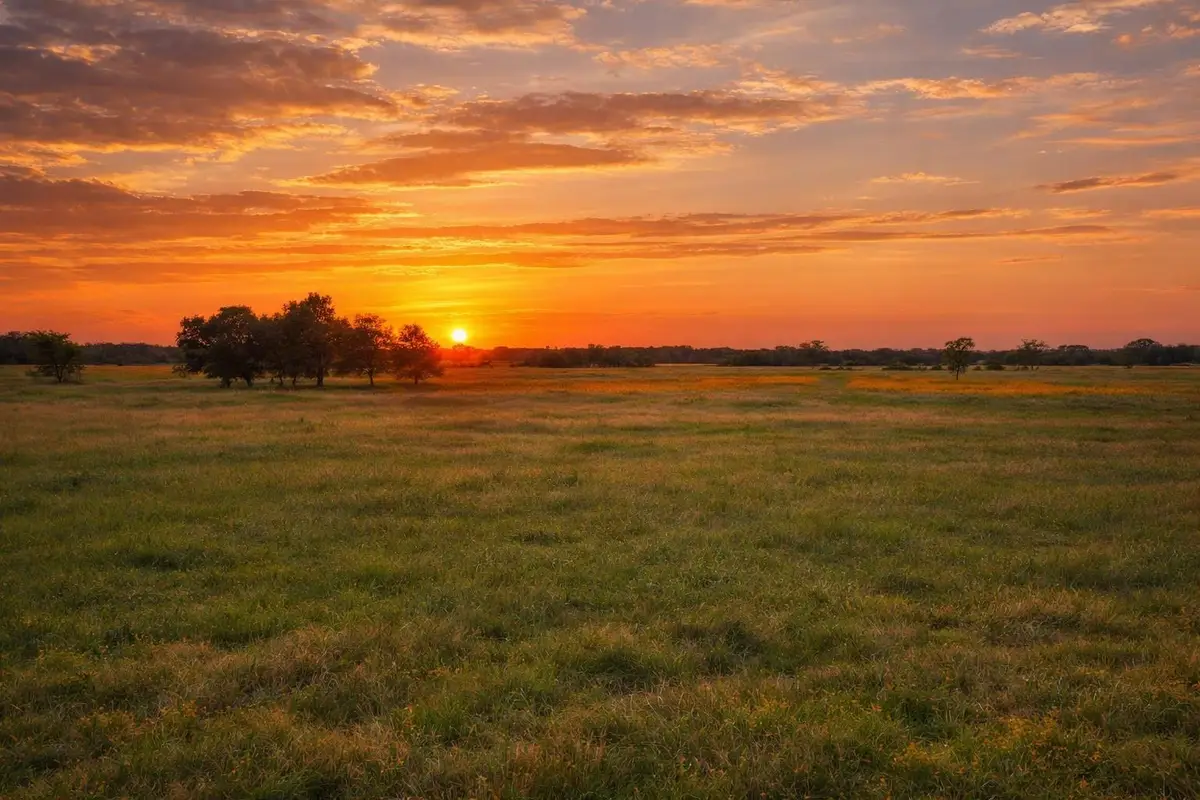 TBD Cr 103, Lampasas, TX 76550 - #1