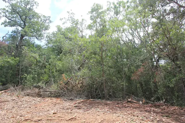 107 Kalihi Ct, Bastrop, TX 78602