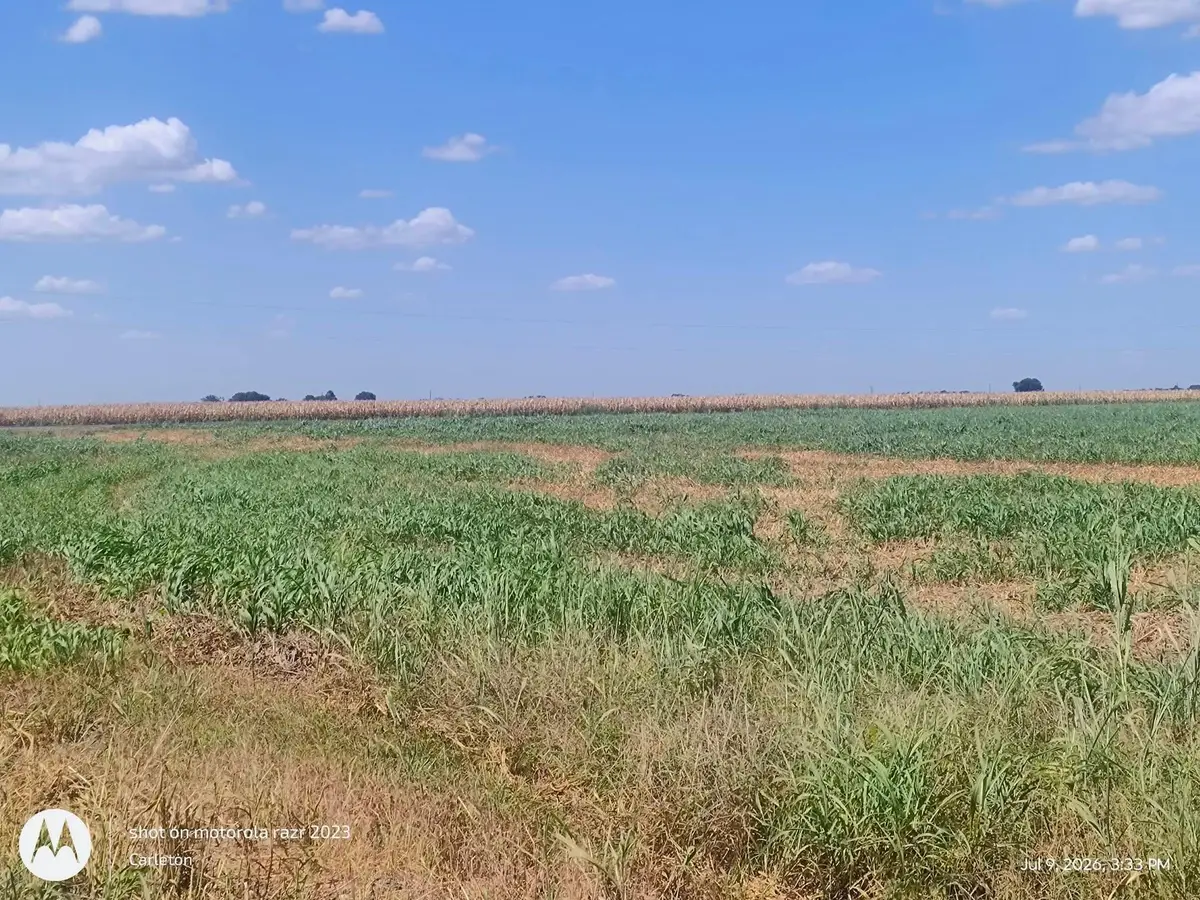 2016 Rolling Meadows Dr, Coupland, TX 78615 - #1