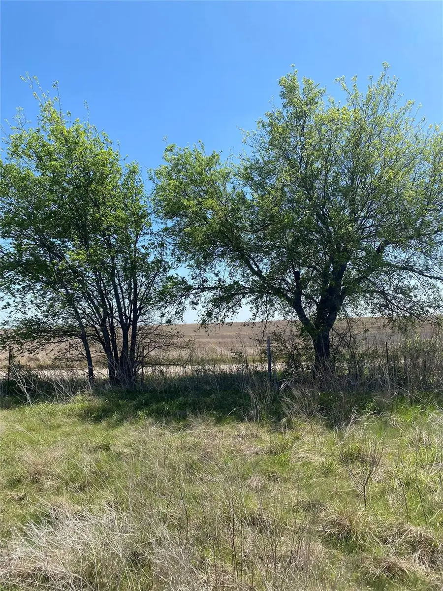 1536 County Road 3545 Rd, Clifton, TX 76634 - #2