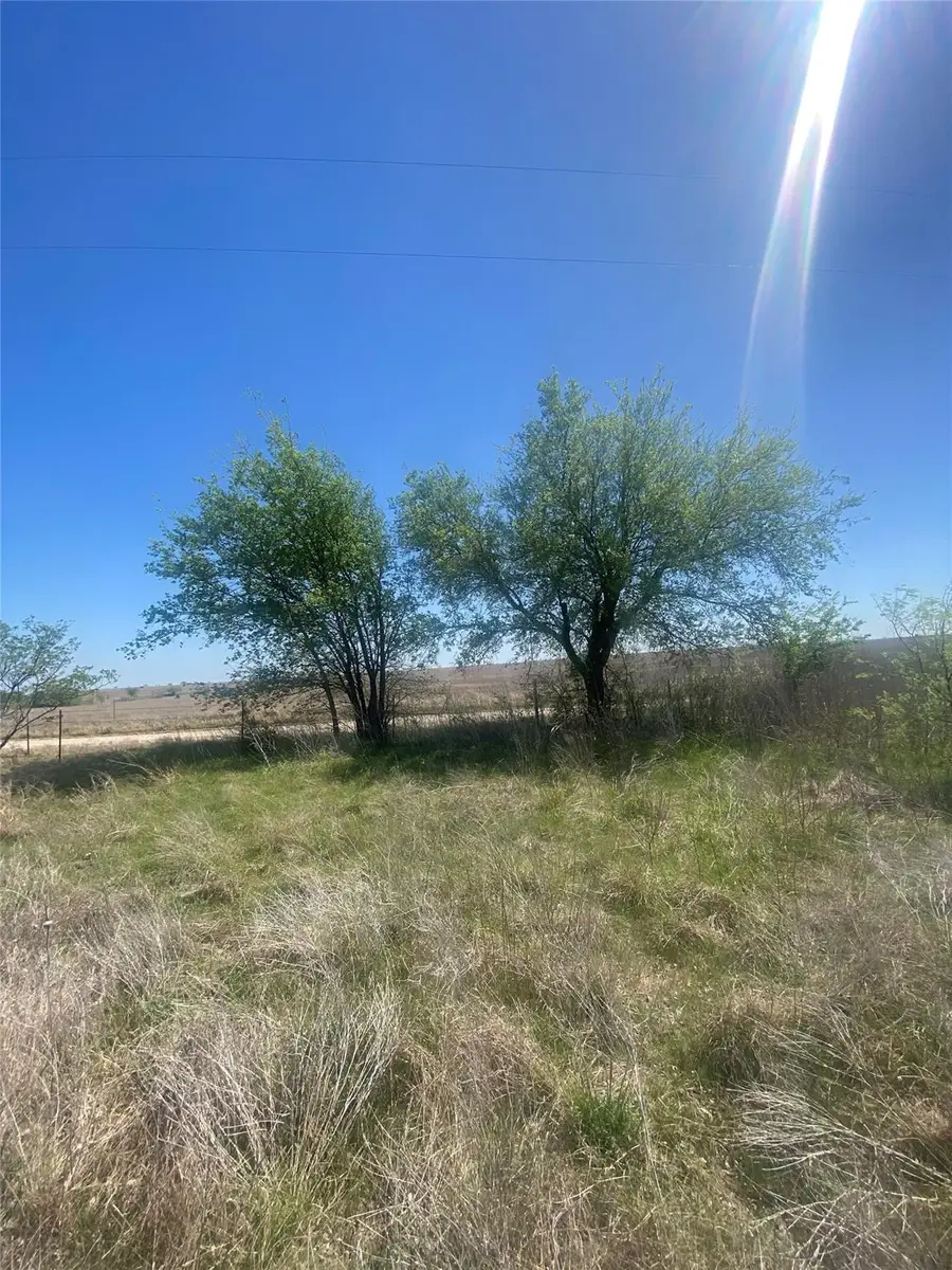 1536 County Road 3545 Rd, Clifton, TX 76634 - #3