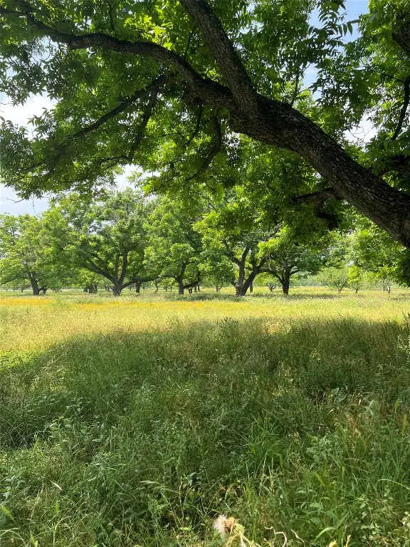 NA Pankratz Rd, Comfort, TX 78013 - Image #3