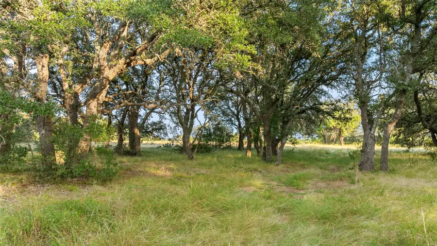 2 Jana Rose, Blanco, TX 78606 - #2