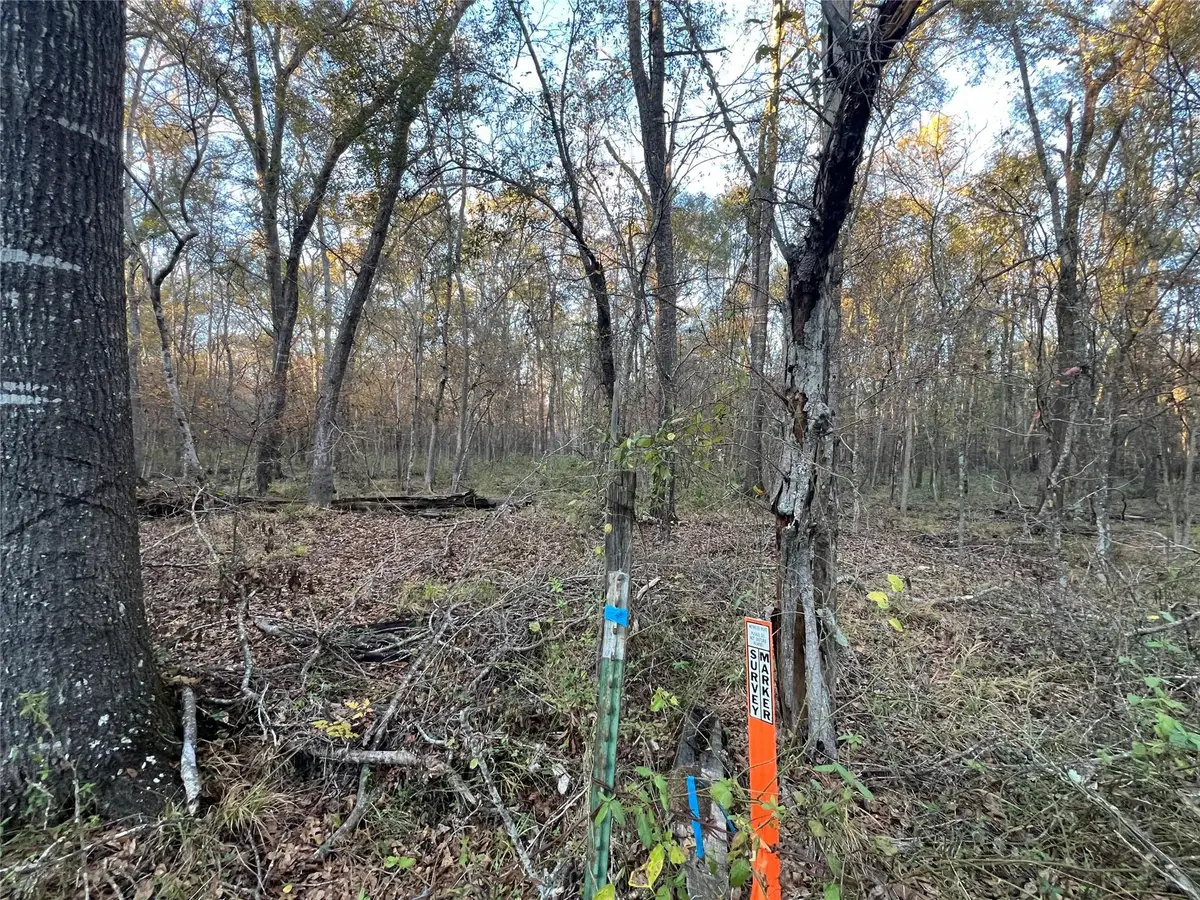 1 An County Road 354, Palestine, TX 75801 - Image #1