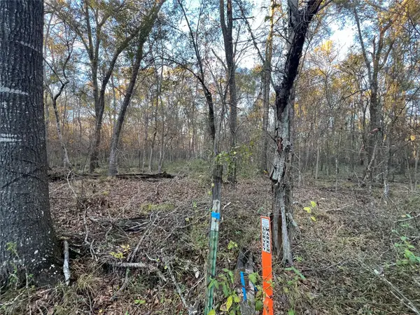 1 An County Road 354, Palestine, TX 75801