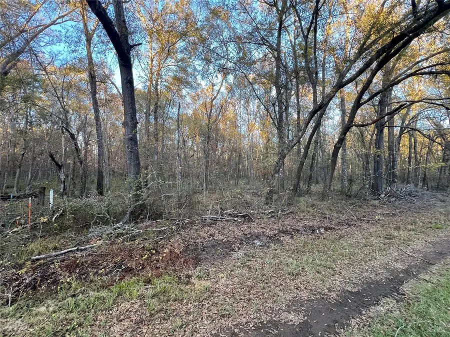 1 An County Road 354, Palestine, TX 75801 - Image #2