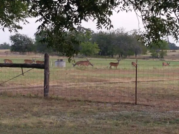10905 fm 1915 Fm1915 Highway, Buckholts, TX 76518