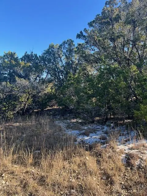 201 Assiniboia Dr, Canyon Lake, TX 78133 - Image #3