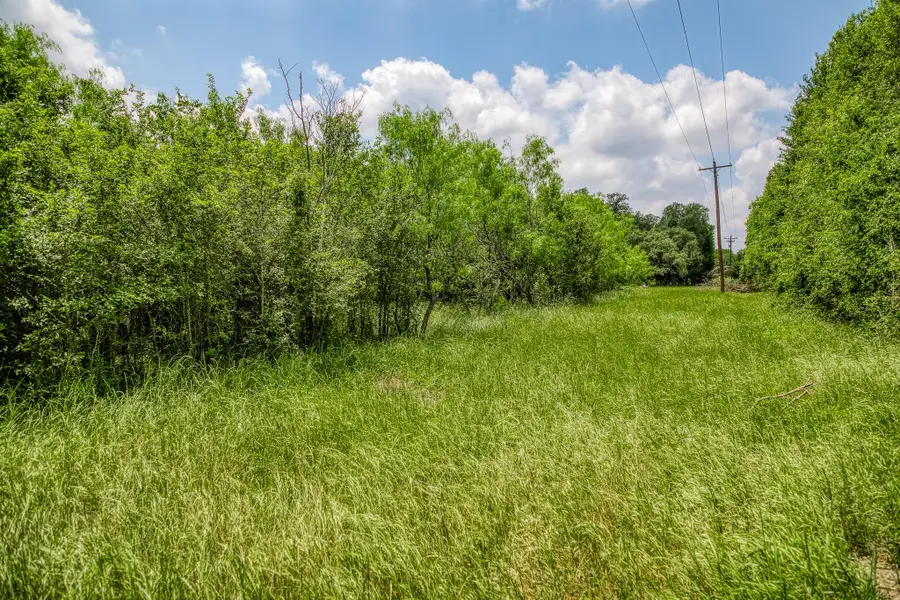 10366 County Road 276 Land, Somerville, TX 77879 - Image #2