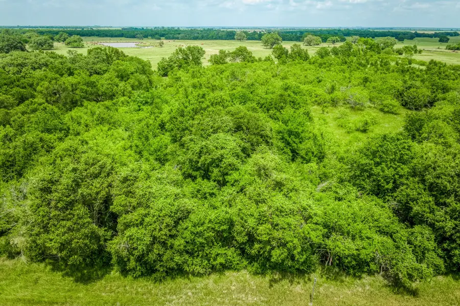 10366 County Road 276 Land, Somerville, TX 77879 - Image #3