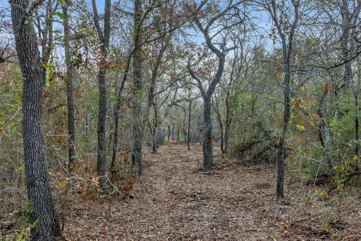 766 Bugtussle Ln, Luling, TX 78648 - Image #1