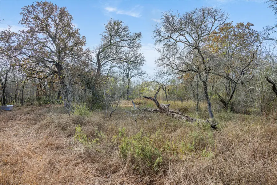 766 Bugtussle Ln, Luling, TX 78648 - Image #2