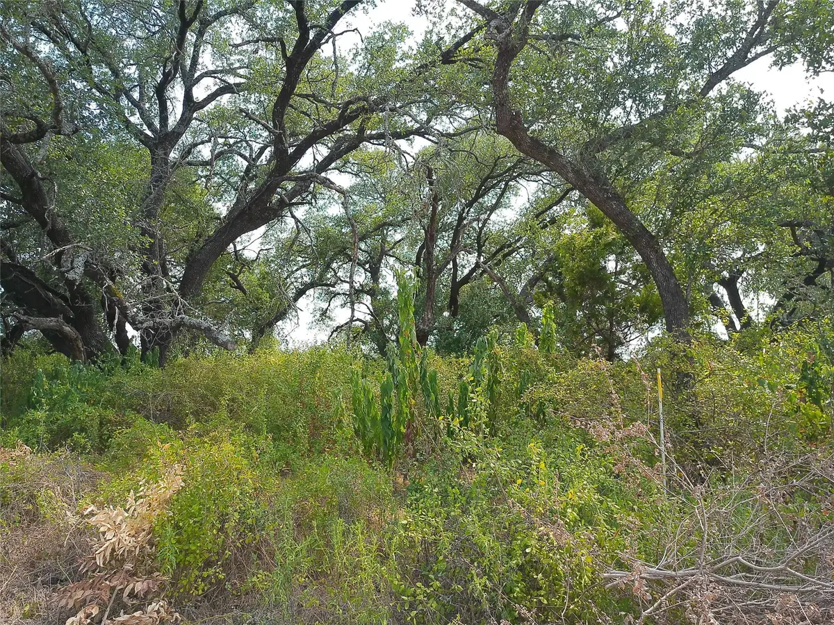 Lot 64 Rycen Dr, Bertram, TX 78605 - #1