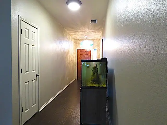 1813 Horse Wagon Dr, Austin, TX 78754 - Image #3