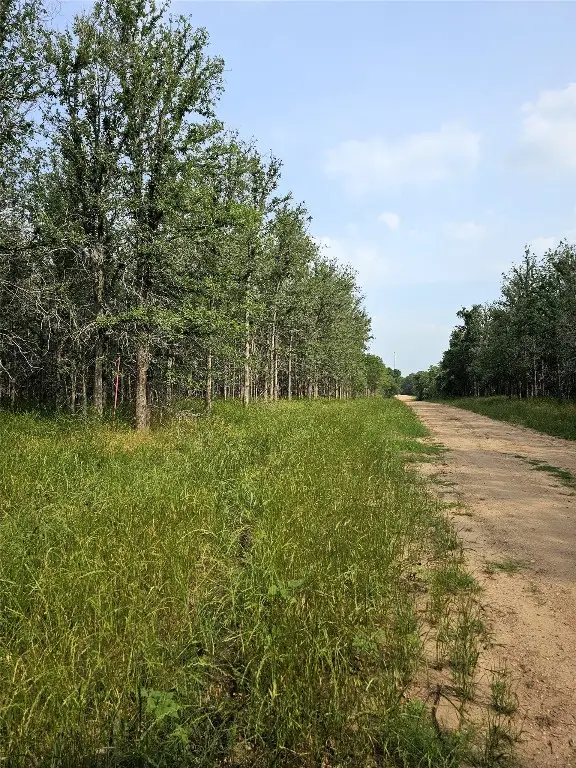 288 Kahana Ln, Bastrop, TX 78602 - Image #2