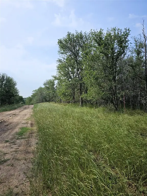 288 Kahana Ln, Bastrop, TX 78602 - Image #3