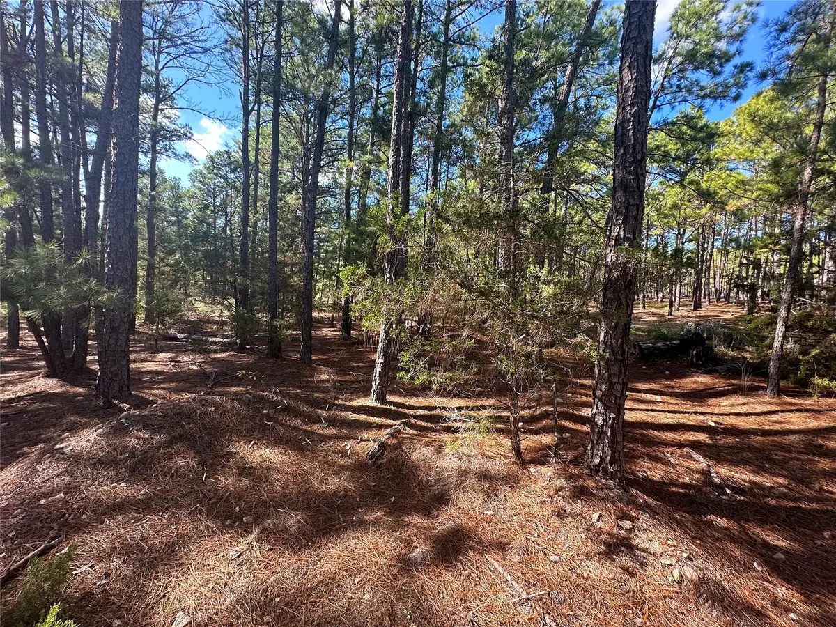 Lot 11 Hickory Ridge Dr, Bastrop, TX 78602 - Image #1