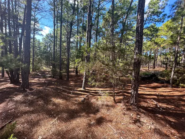 Lot 11 Hickory Ridge Dr, Bastrop, TX 78602