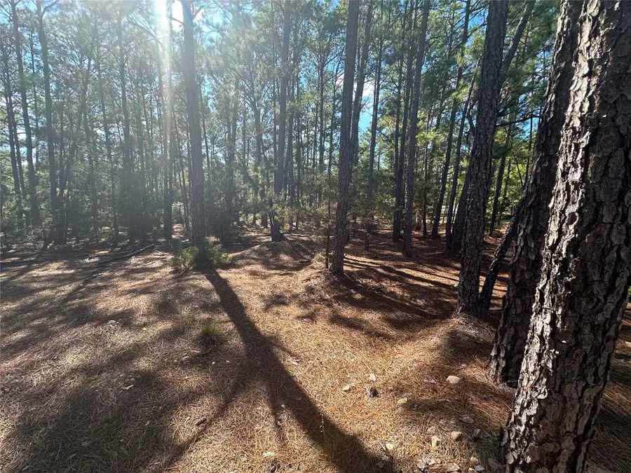Lot 11 Hickory Ridge Dr, Bastrop, TX 78602 - Image #2