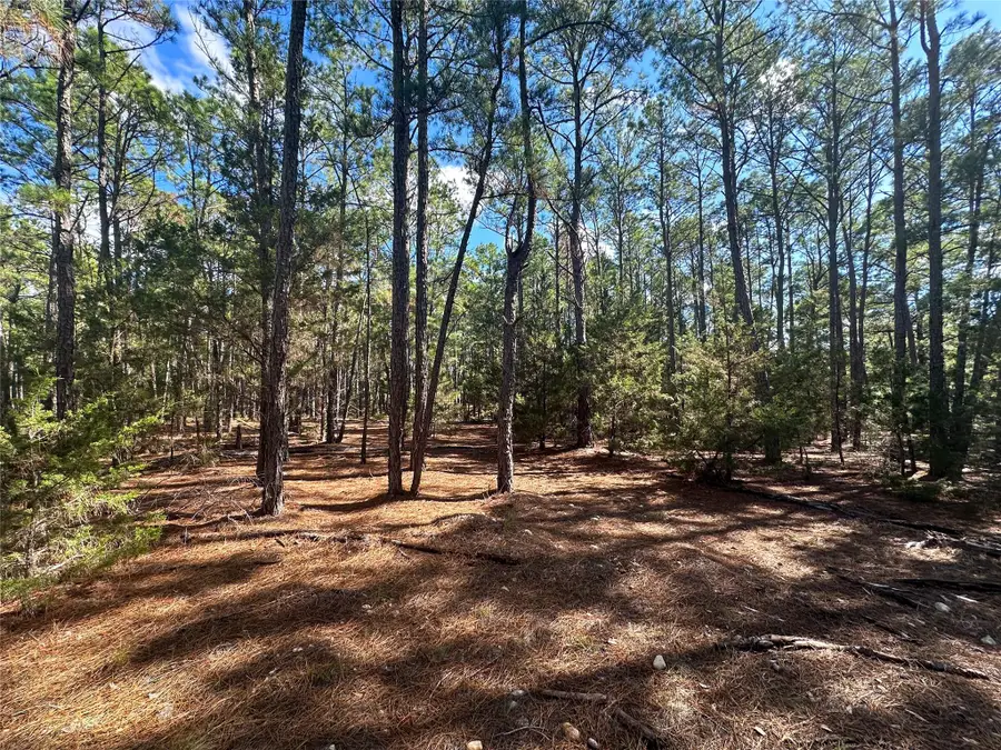 Lot 11 Hickory Ridge Dr, Bastrop, TX 78602 - Image #3